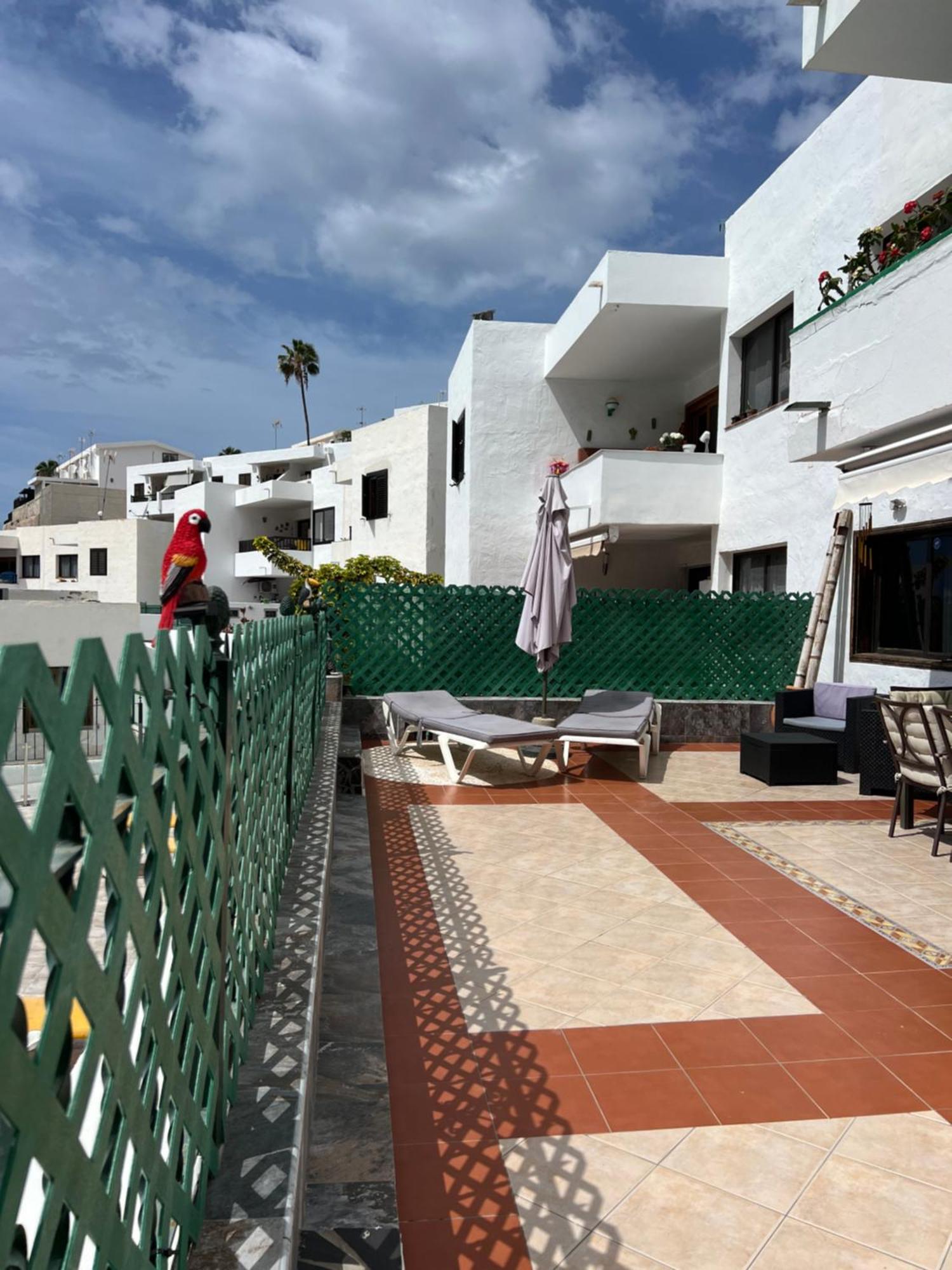 Lovely Apartment 2 Rooms With Big Terrace In Puerto Rico Puerto Rico  Exterior photo